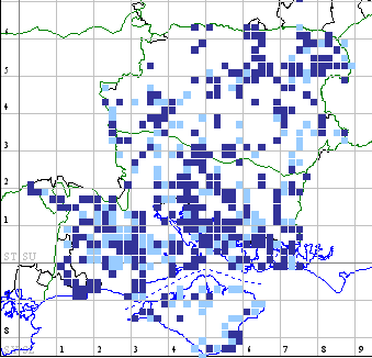 Large Yellow Underwing distribution