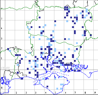 Leopard Moth distribution