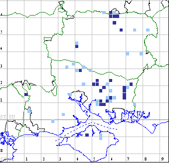 Orange Moth distribution