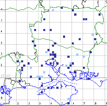 Red-necked Footman distribution