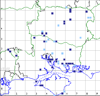 Six-belted Clearwing distribution