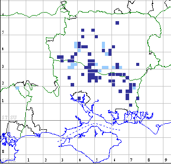 Striped Lichnis distribution