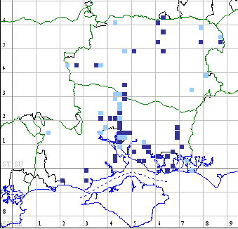 Varied Coronet distribution