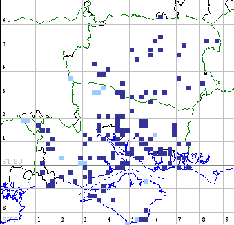 White Point distribution